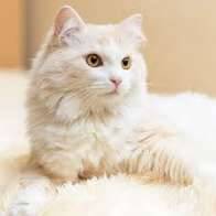 People always tell me I am beautiful and I think so too