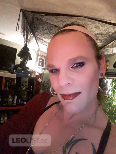 edmonton transsexual Lexi Male Adult Images Looking for gay brothers sex stories