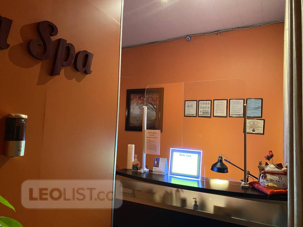 HIRINGBusy Massage Spa in Langley and Surrey locations Delta/Surrey/Langley Metro